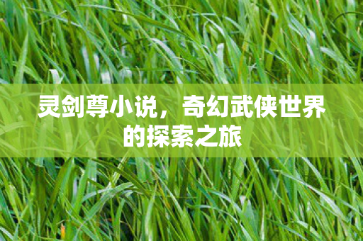 灵剑尊小说,奇幻武侠世界的探索之旅 灵剑尊小说,奇幻武侠世界的探索之旅