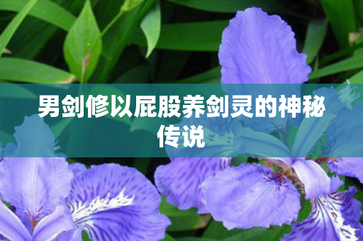 男剑修以屁股养剑灵的神秘传说 男剑修以屁股养剑灵的神秘传说