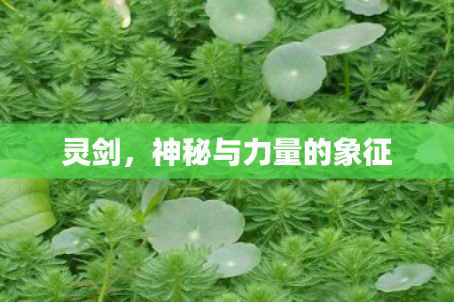灵剑,神秘与力量的象征 灵剑,神秘与力量的象征