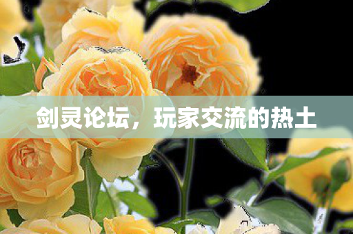 剑灵论坛，玩家交流的热土