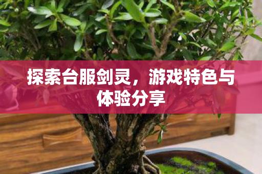 探索台服剑灵,游戏特色与体验分享 探索台服剑灵,游戏特色与体验分享