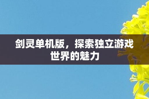 剑灵单机版,探索独立游戏世界的魅力 剑灵单机版,探索独立游戏世界的魅力