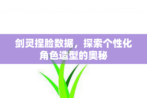 剑灵捏脸数据,探索个性化角色造型的奥秘 剑灵捏脸数据,探索个性化角色造型的奥秘