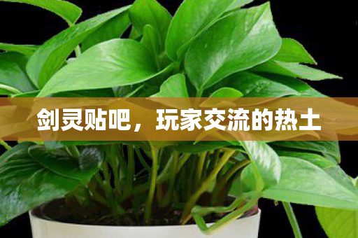 剑灵贴吧,玩家交流的热土 剑灵贴吧,玩家交流的热土