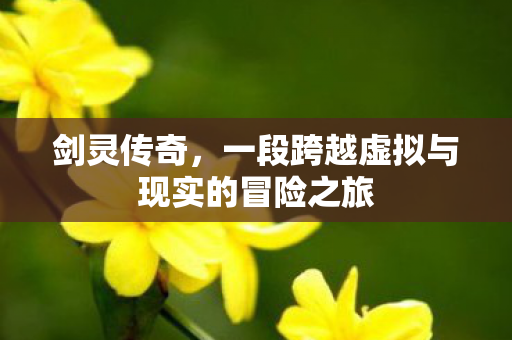 剑灵传奇,一段跨越虚拟与现实的冒险之旅 剑灵传奇,一段跨越虚拟与现实的冒险之旅
