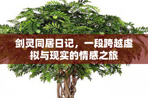 剑灵同居日记,一段跨越虚拟与现实的情感之旅 剑灵同居日记,一段跨越虚拟与现实的情感之旅