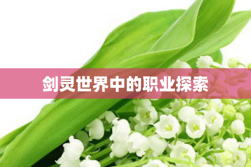 剑灵世界中的职业探索 剑灵世界中的职业探索