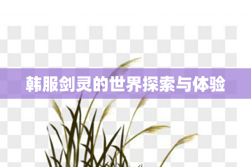 韩服剑灵的世界探索与体验 韩服剑灵的世界探索与体验