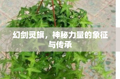 幻剑灵旗,神秘力量的象征与传承 幻剑灵旗,神秘力量的象征与传承