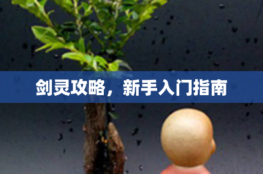 剑灵攻略,新手入门指南 剑灵攻略,新手入门指南