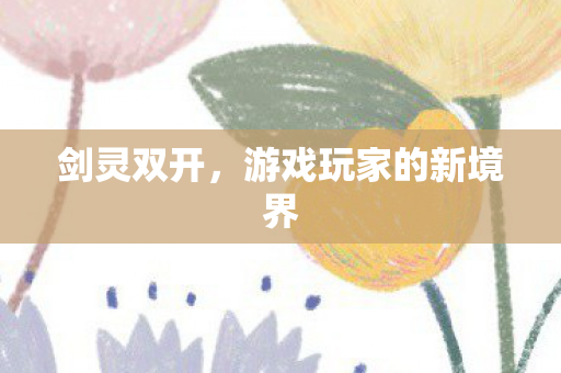 剑灵双开,游戏玩家的新境界 剑灵双开,游戏玩家的新境界