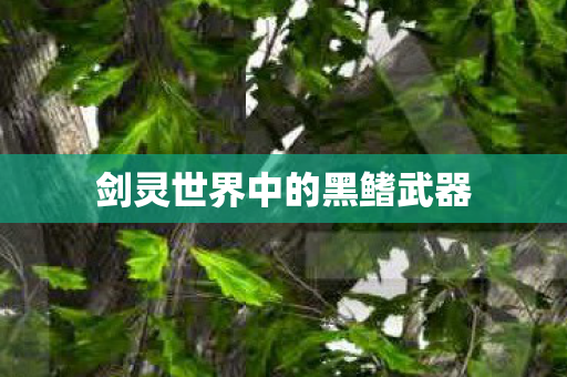 剑灵世界中的黑鳍武器