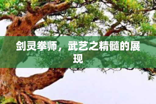 剑灵拳师,武艺之精髓的展现 剑灵拳师,武艺之精髓的展现