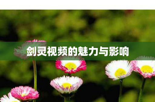 剑灵视频的魅力与影响 剑灵视频的魅力与影响
