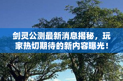 剑灵公测最新消息揭秘,玩家热切期待的新内容曝光! 剑灵公测最新消息揭秘,玩家热切期待的新内容曝光!