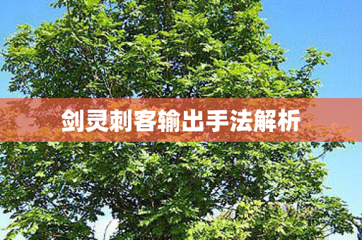剑灵刺客输出手法解析 剑灵刺客输出手法解析