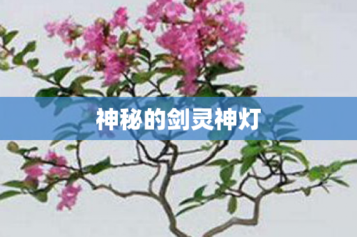 神秘的剑灵神灯 神秘的剑灵神灯