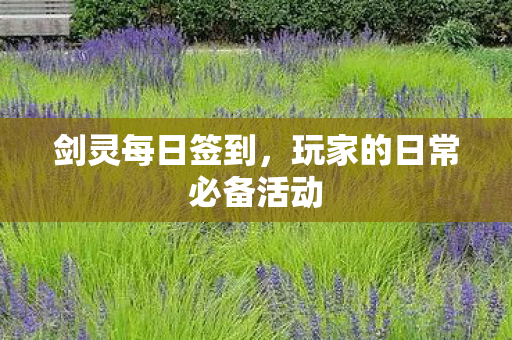 剑灵每日签到,玩家的日常必备活动 剑灵每日签到,玩家的日常必备活动