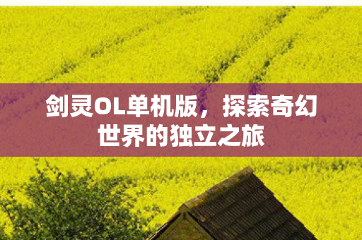 剑灵OL单机版，探索奇幻世界的独立之旅