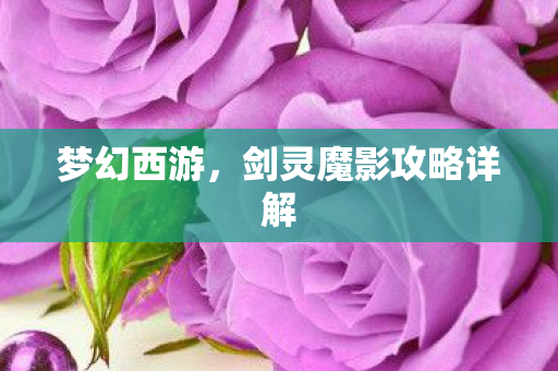 梦幻西游,剑灵魔影攻略详解 梦幻西游,剑灵魔影攻略详解