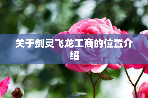 关于剑灵飞龙工商的位置介绍 关于剑灵飞龙工商的位置介绍