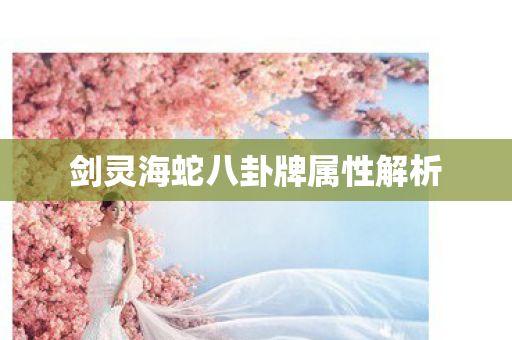 剑灵海蛇八卦牌属性解析