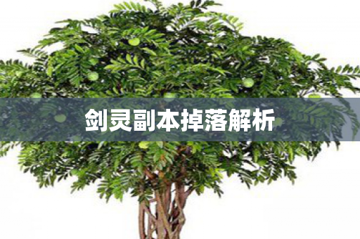 剑灵副本掉落解析 剑灵副本掉落解析