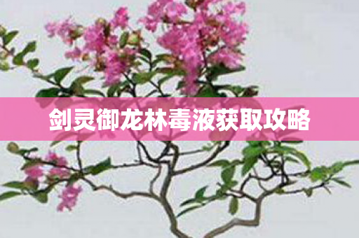 剑灵御龙林毒液获取攻略 剑灵御龙林毒液获取攻略