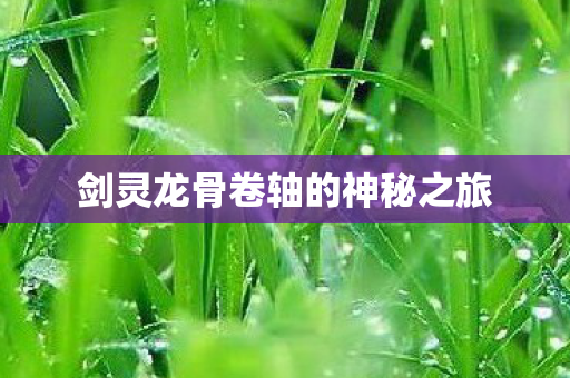 剑灵龙骨卷轴的神秘之旅 剑灵龙骨卷轴的神秘之旅