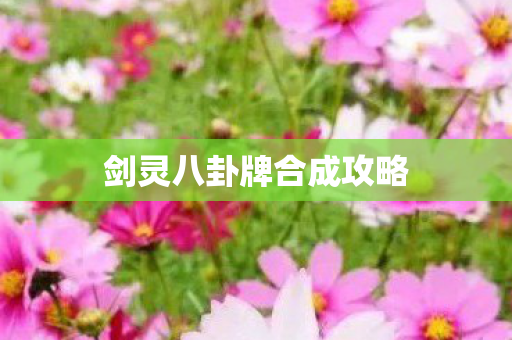 剑灵八卦牌合成攻略