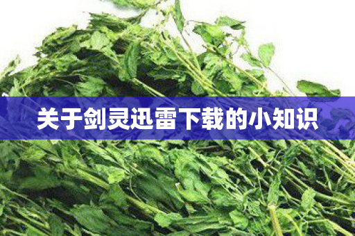 关于剑灵迅雷下载的小知识 关于剑灵迅雷下载的小知识