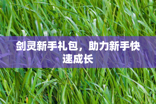 剑灵新手礼包,助力新手快速成长 剑灵新手礼包,助力新手快速成长