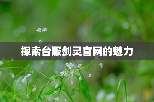 探索台服剑灵官网的魅力 探索台服剑灵官网的魅力
