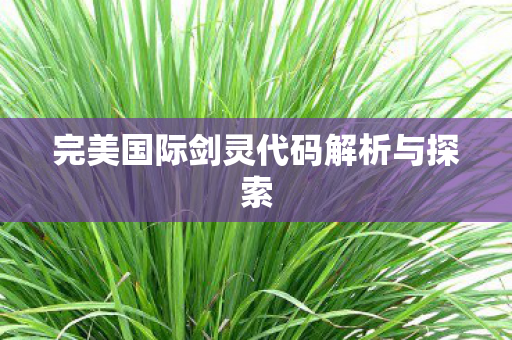 完美国际剑灵代码解析与探索 完美国际剑灵代码解析与探索
