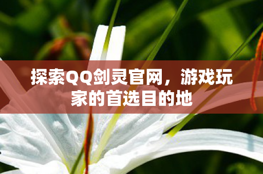 探索QQ剑灵官网,游戏玩家的首选目的地 探索QQ剑灵官网,游戏玩家的首选目的地