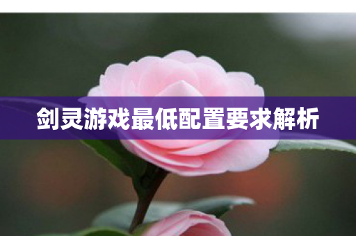 剑灵游戏最低配置要求解析