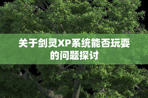关于剑灵XP系统能否玩耍的问题探讨 关于剑灵XP系统能否玩耍的问题探讨