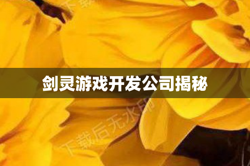 剑灵游戏开发公司揭秘 剑灵游戏开发公司揭秘
