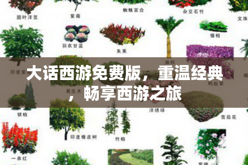 大话西游免费版,重温经典,畅享西游之旅 大话西游免费版,重温经典,畅享西游之旅