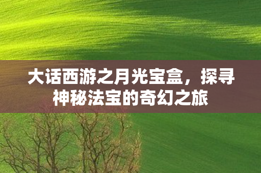 大话西游之月光宝盒,探寻神秘法宝的奇幻之旅 大话西游之月光宝盒,探寻神秘法宝的奇幻之旅