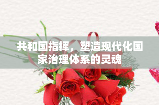 共和国指挥,塑造现代化国家治理体系的灵魂 共和国指挥,塑造现代化国家治理体系的灵魂