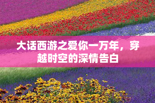大话西游之爱你一万年,穿越时空的深情告白 大话西游之爱你一万年,穿越时空的深情告白