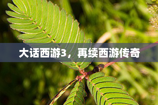 大话西游3,再续西游传奇 大话西游3,再续西游传奇