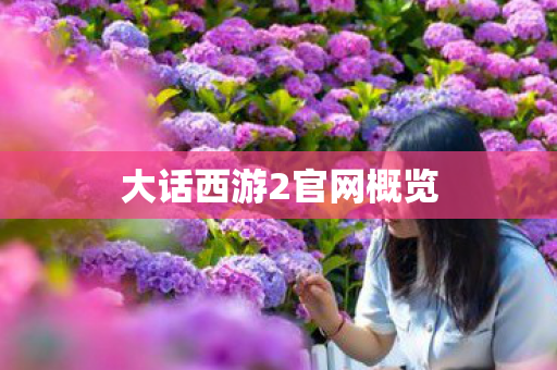 大话西游2官网概览 大话西游2官网概览