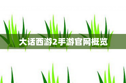 大话西游2手游官网概览