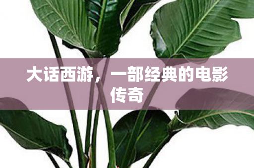 大话西游，一部经典的电影传奇