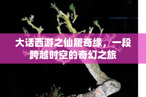 大话西游之仙履奇缘,一段跨越时空的奇幻之旅 大话西游之仙履奇缘,一段跨越时空的奇幻之旅