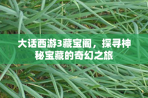 大话西游3藏宝阁,探寻神秘宝藏的奇幻之旅 大话西游3藏宝阁,探寻神秘宝藏的奇幻之旅