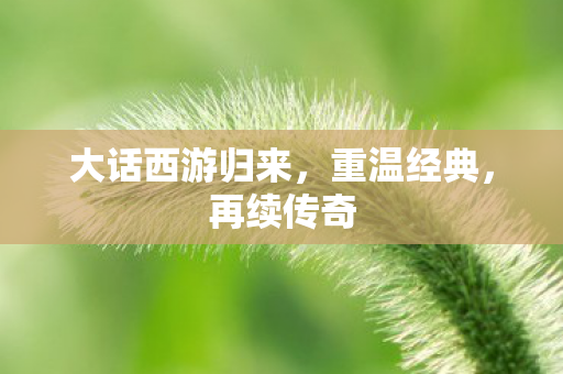 大话西游归来,重温经典,再续传奇 大话西游归来,重温经典,再续传奇