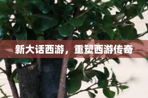 新大话西游,重塑西游传奇 新大话西游,重塑西游传奇